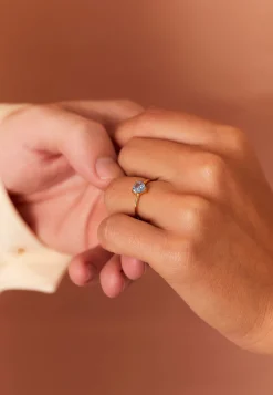 ANILLO ABHIJIT BAÑADO EN ORO
