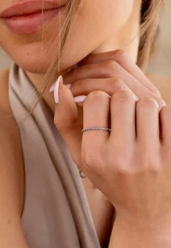 ANILLO MUD