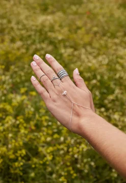 ANILLO MUD (MIDI)