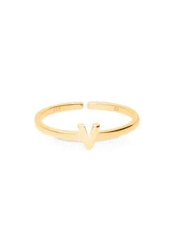 ANILLO NAAM BAÑADO EN ORO