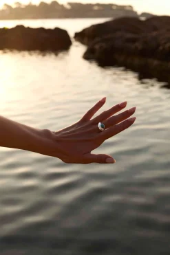 ANILLO NAUKA