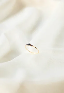 ANILLO ORION