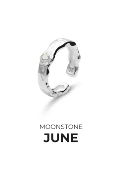 ANILLO PIEDRAS DE NACIMIENTO