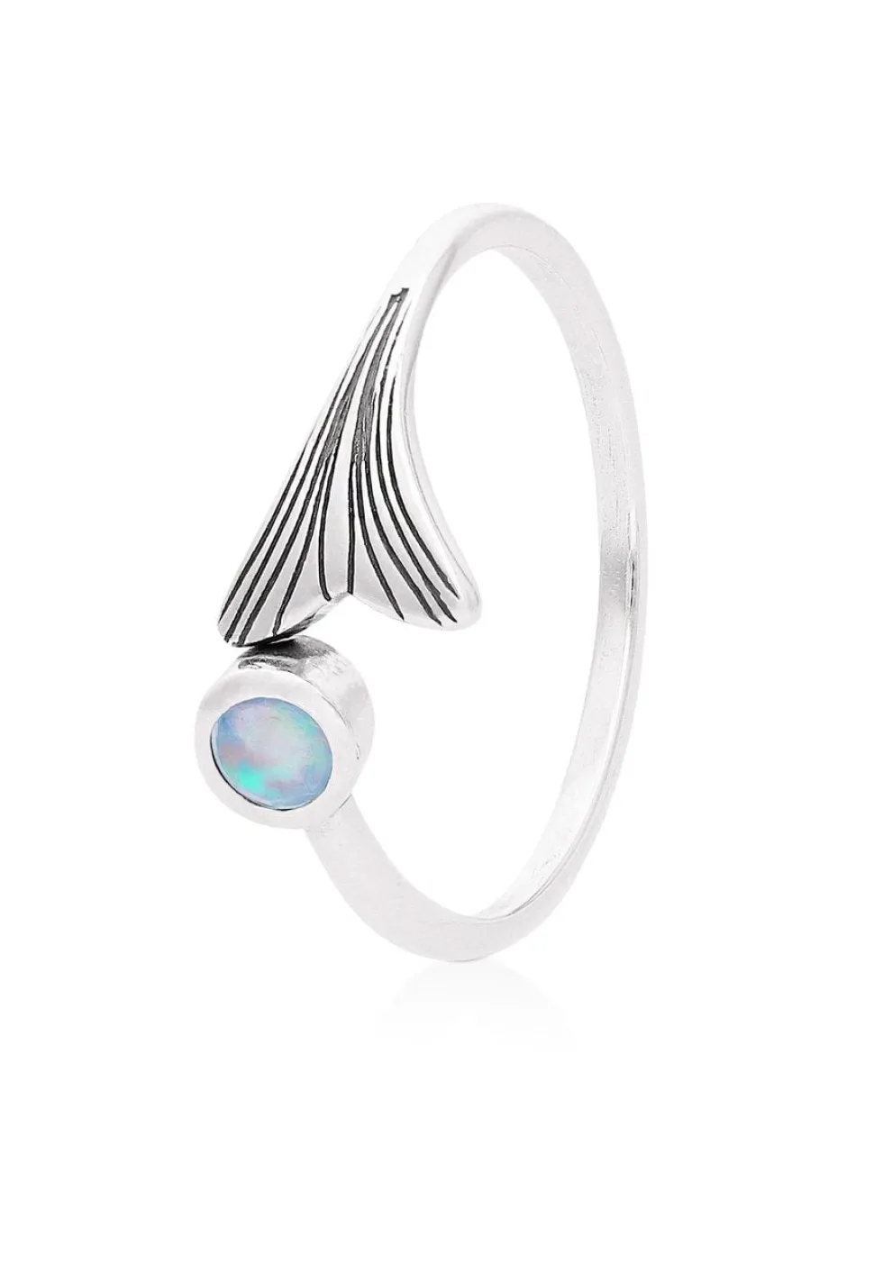 ANILLO PONCH