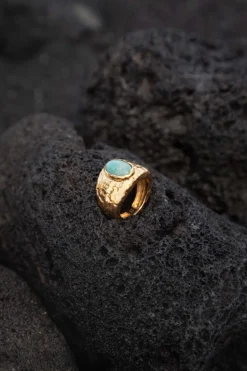 ANILLO PRAKTI BAÑADO EN ORO
