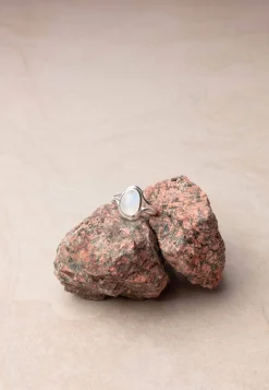 ANILLO RISHA