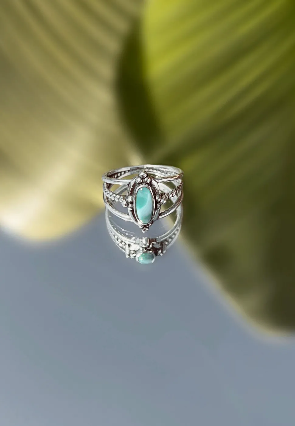 ANILLO UPADESA