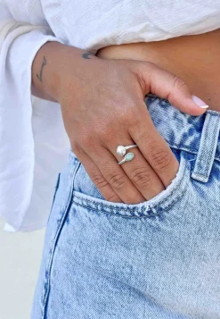 ANILLO VIKSHEPA