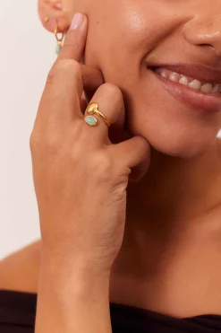 ANILLO VIKSHEPA BAÑADO EN ORO