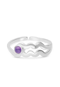 ANILLO ZODIACO