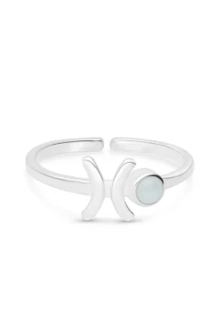 ANILLO ZODIACO