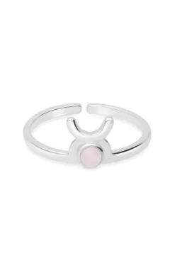 ANILLO ZODIACO
