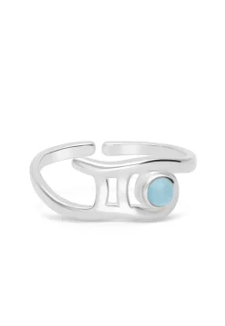 ANILLO ZODIACO