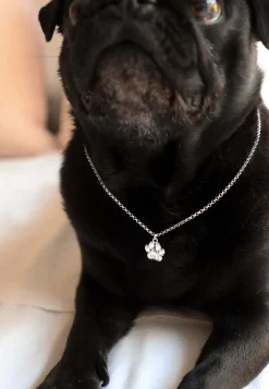 COLLAR PANJA (PERSONALIZADO)