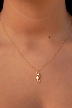 COLLAR SLOKA BAÑADO EN ORO