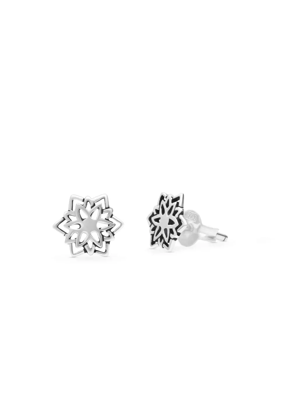 PENDIENTES HEMAL