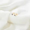 PENDIENTES PERSEUS