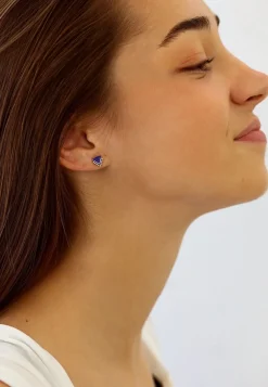PENDIENTES SHEL